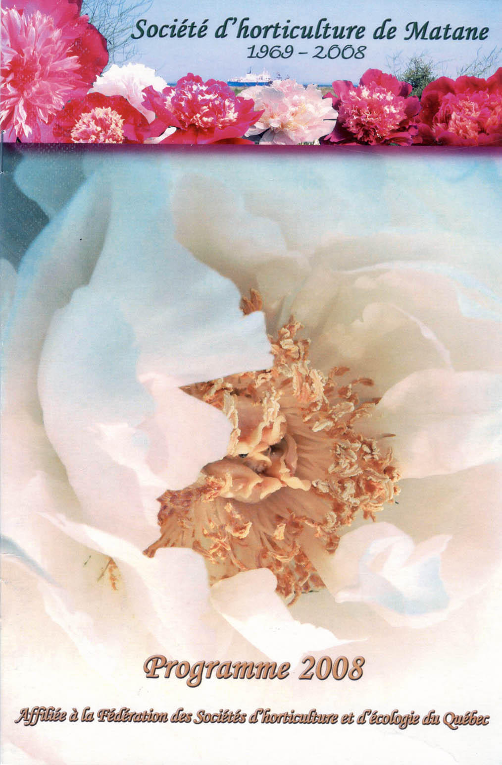 prg2008a