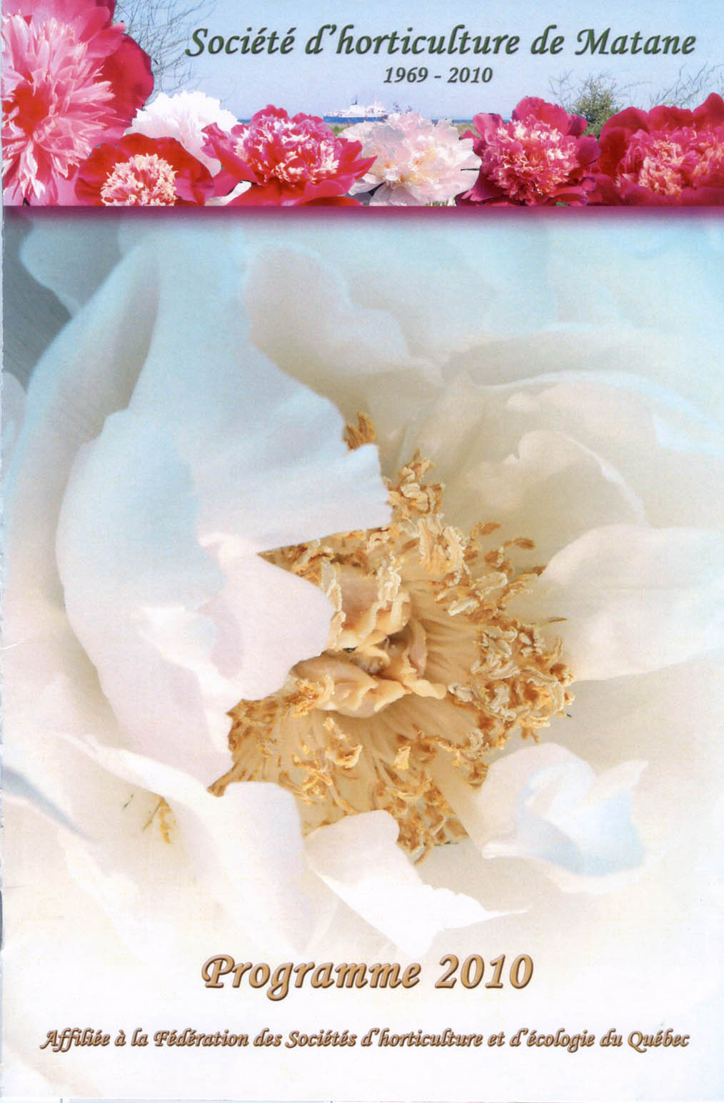 prg2010a